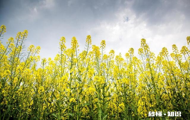 有人说“人到中年，你的收入，就是你的底气”你怎么看