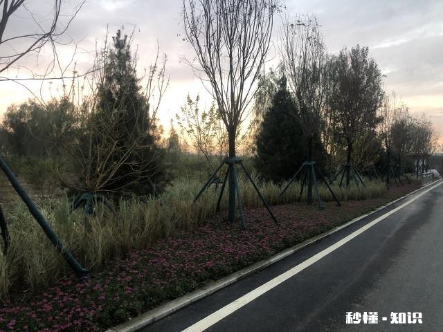 有人说“人到中年，你的收入，就是你的底气”你怎么看