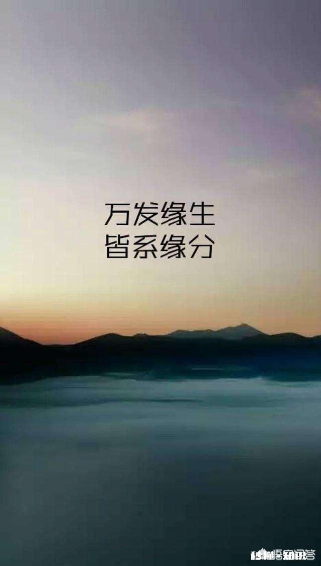 “若无相欠怎会相见”，你对这句话怎么理解