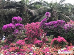 “若无相欠怎会相见”，你对这句话怎么理解