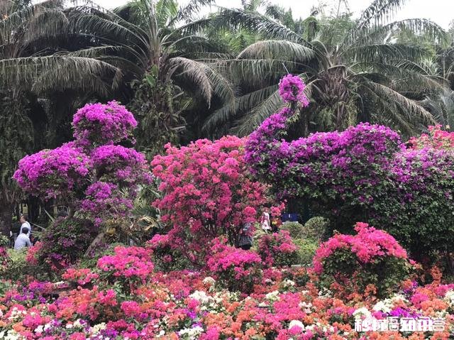 “若无相欠怎会相见”，你对这句话怎么理解