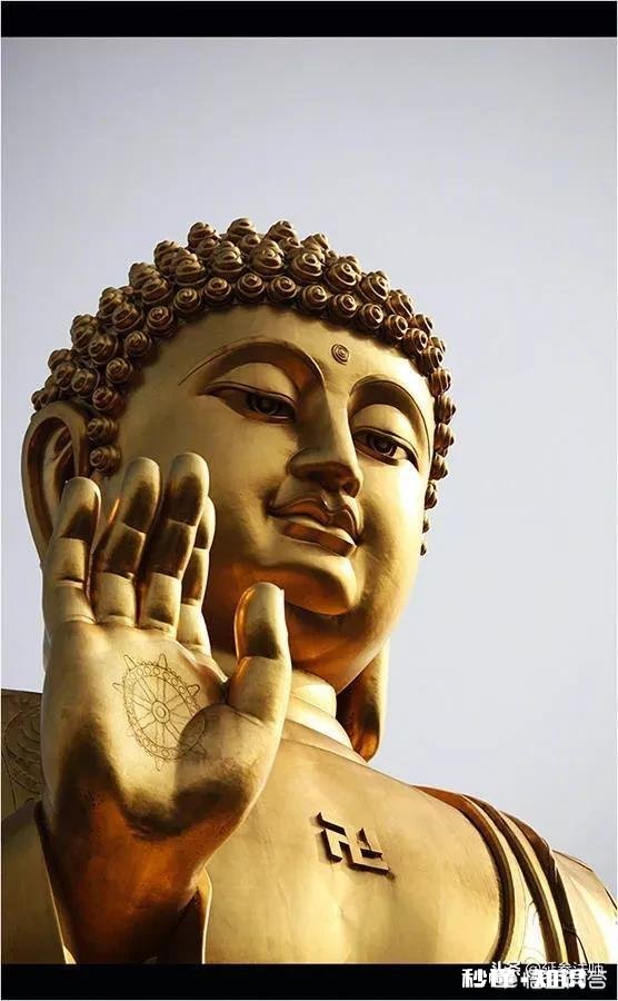 “若无相欠怎会相见”，你对这句话怎么理解