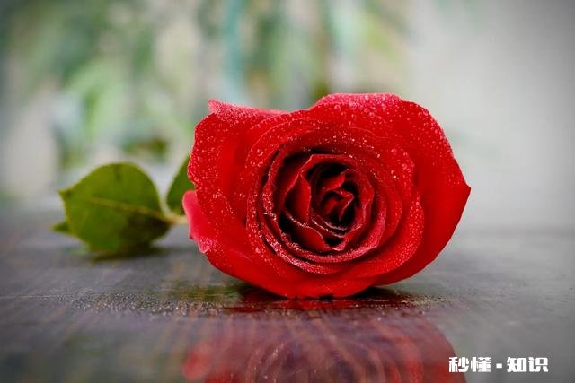 摄影以“祝福”为主题，可以拍些什么题材可以怎么拍