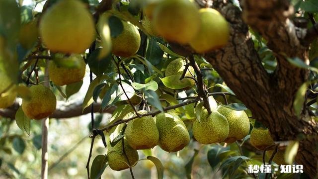 摄影以“祝福”为主题，可以拍些什么题材可以怎么拍