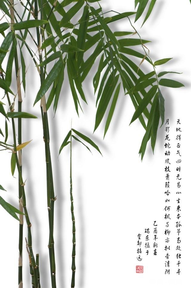 摄影以“祝福”为主题，可以拍些什么题材可以怎么拍