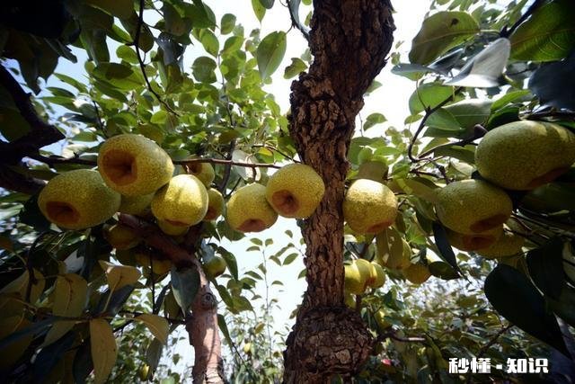 摄影以“祝福”为主题，可以拍些什么题材可以怎么拍