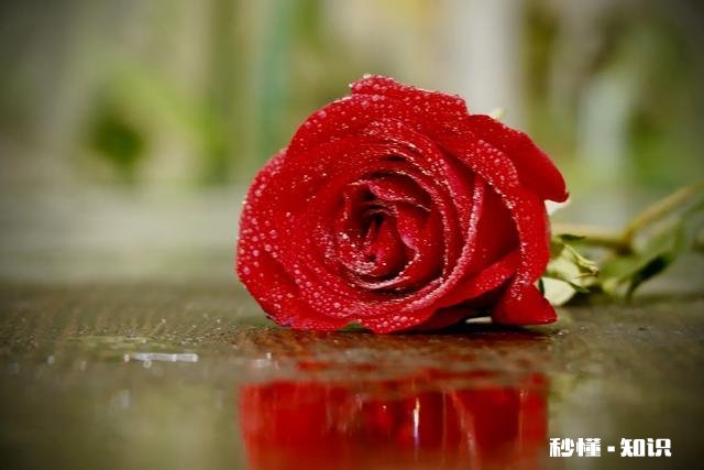 摄影以“祝福”为主题，可以拍些什么题材可以怎么拍