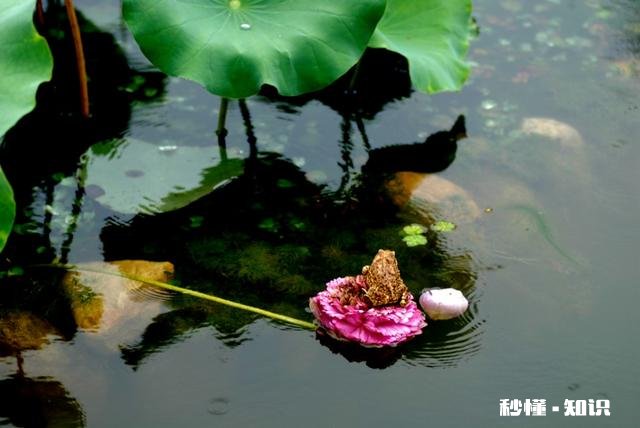 摄影以“祝福”为主题，可以拍些什么题材可以怎么拍