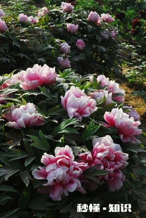 摄影以“祝福”为主题，可以拍些什么题材可以怎么拍