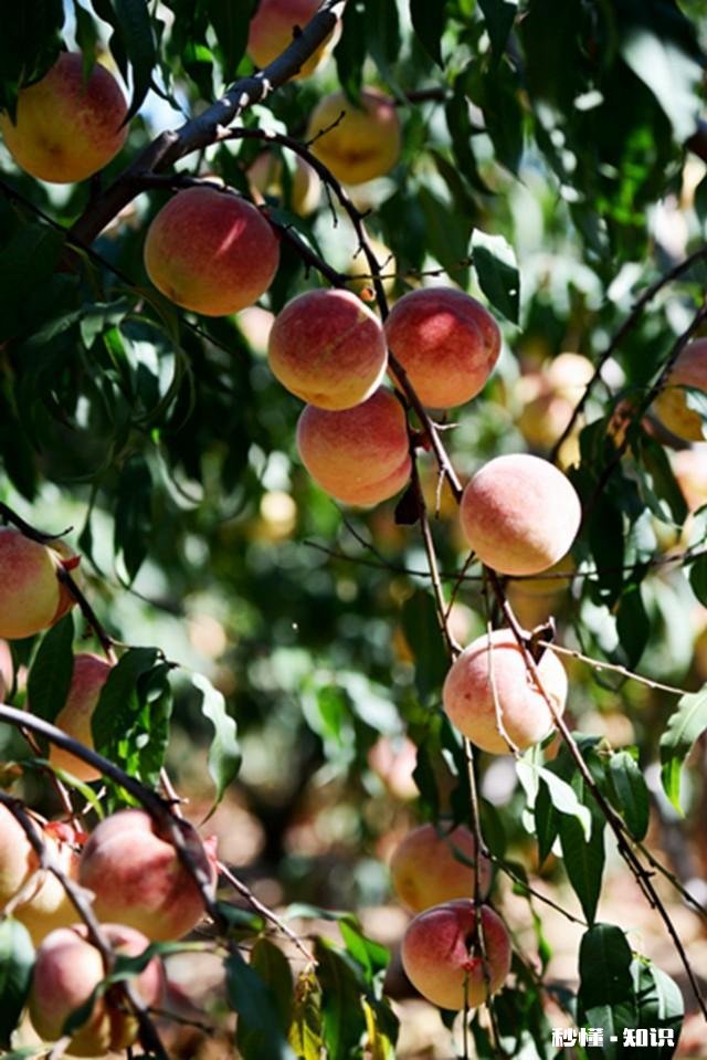 摄影以“祝福”为主题，可以拍些什么题材可以怎么拍