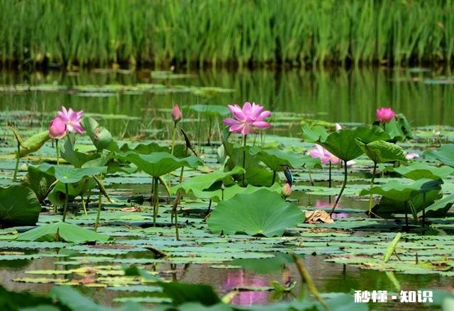 摄影以“祝福”为主题，可以拍些什么题材可以怎么拍