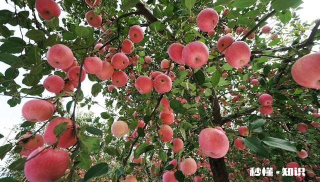 摄影以“祝福”为主题，可以拍些什么题材可以怎么拍