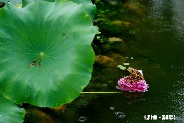 摄影以“祝福”为主题，可以拍些什么题材可以怎么拍
