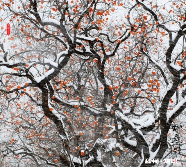 摄影以“祝福”为主题，可以拍些什么题材可以怎么拍