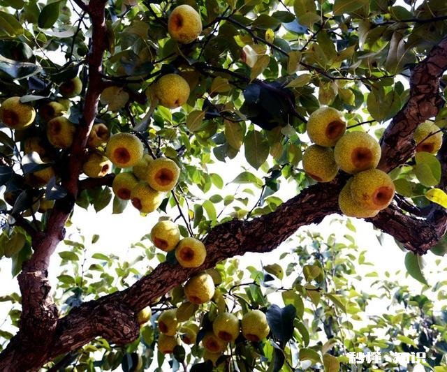 摄影以“祝福”为主题，可以拍些什么题材可以怎么拍