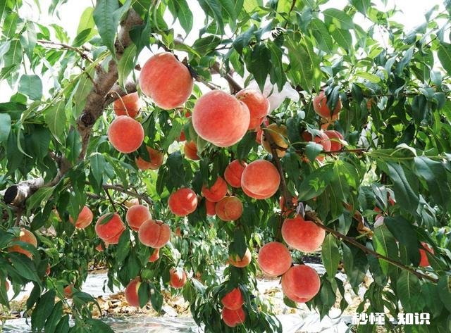 摄影以“祝福”为主题，可以拍些什么题材可以怎么拍