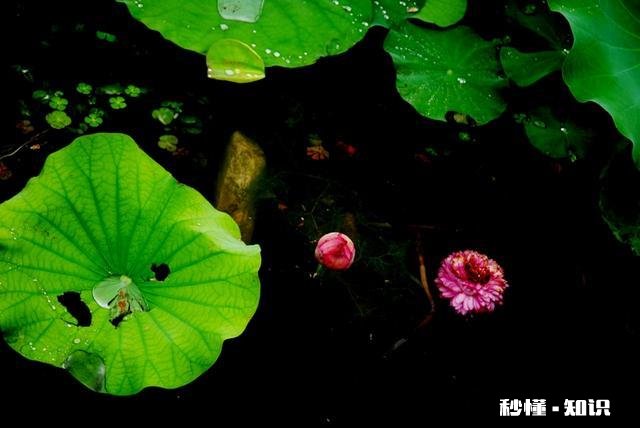 摄影以“祝福”为主题，可以拍些什么题材可以怎么拍