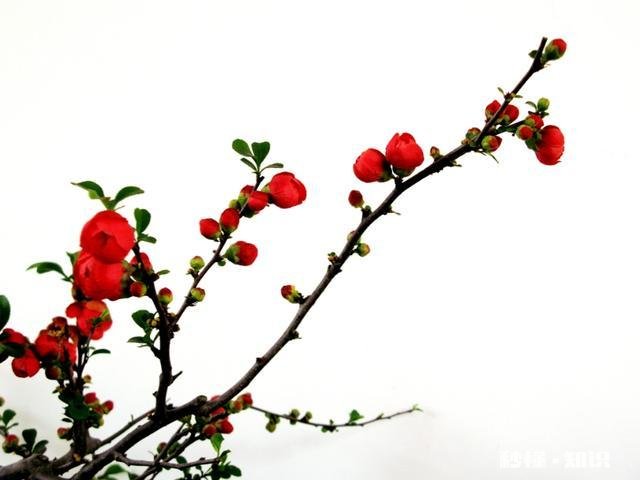 摄影以“祝福”为主题，可以拍些什么题材可以怎么拍