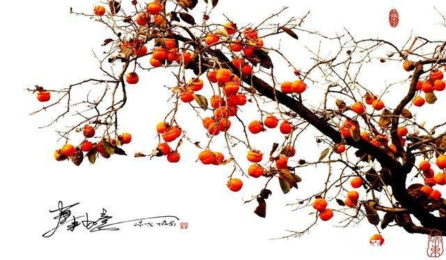 摄影以“祝福”为主题，可以拍些什么题材可以怎么拍