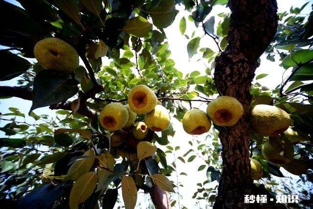 摄影以“祝福”为主题，可以拍些什么题材可以怎么拍