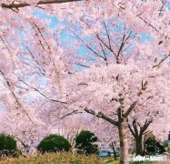 如何用“一醉方休”作一首藏头诗