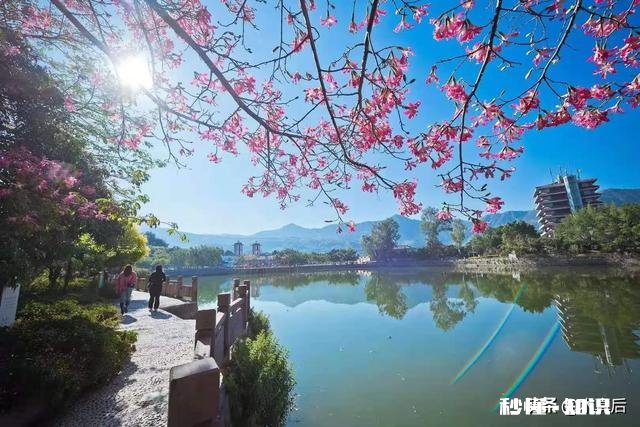 大家开车上路前会找陪练吗