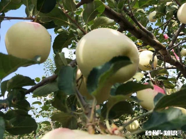 你手机里最喜欢的一张风景图片是哪个