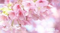 外地人在南通做什么工作一年才能赚10万块钱