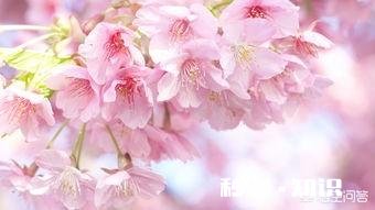 外地人在南通做什么工作一年才能赚10万块钱