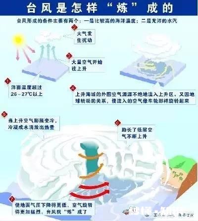 在自媒体时代，内容创作怎样才能发挥出更大的价值