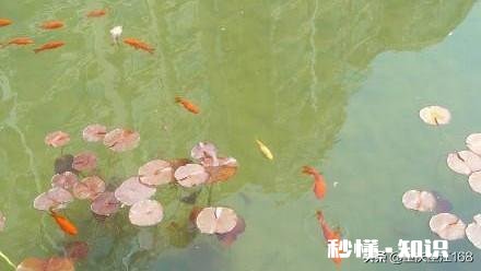 春雨绵绵，怎样拍摄“微风燕子低，细雨鱼儿出”的生活美景