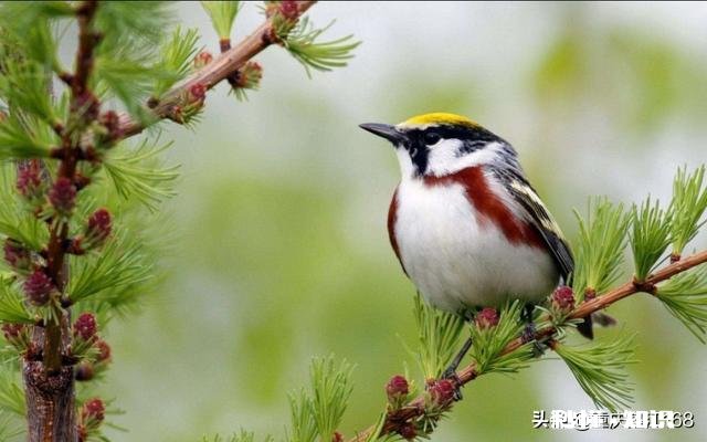 春雨绵绵，怎样拍摄“微风燕子低，细雨鱼儿出”的生活美景