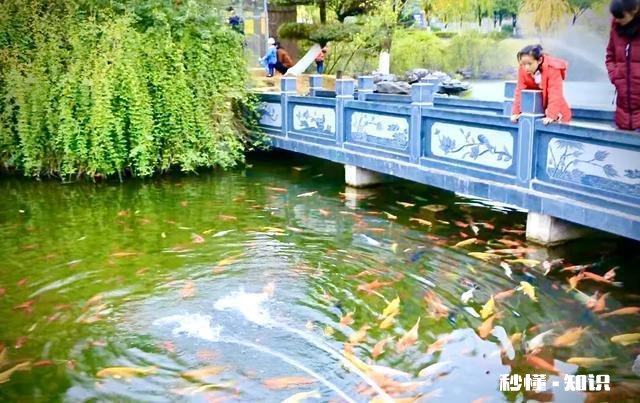 春雨绵绵，怎样拍摄“微风燕子低，细雨鱼儿出”的生活美景