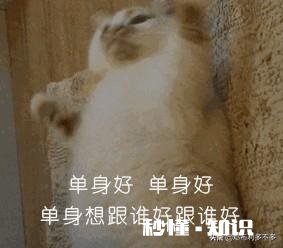 你有多久没有过七夕了