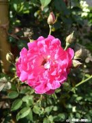 交十八年社保，医报里应该有多少钱