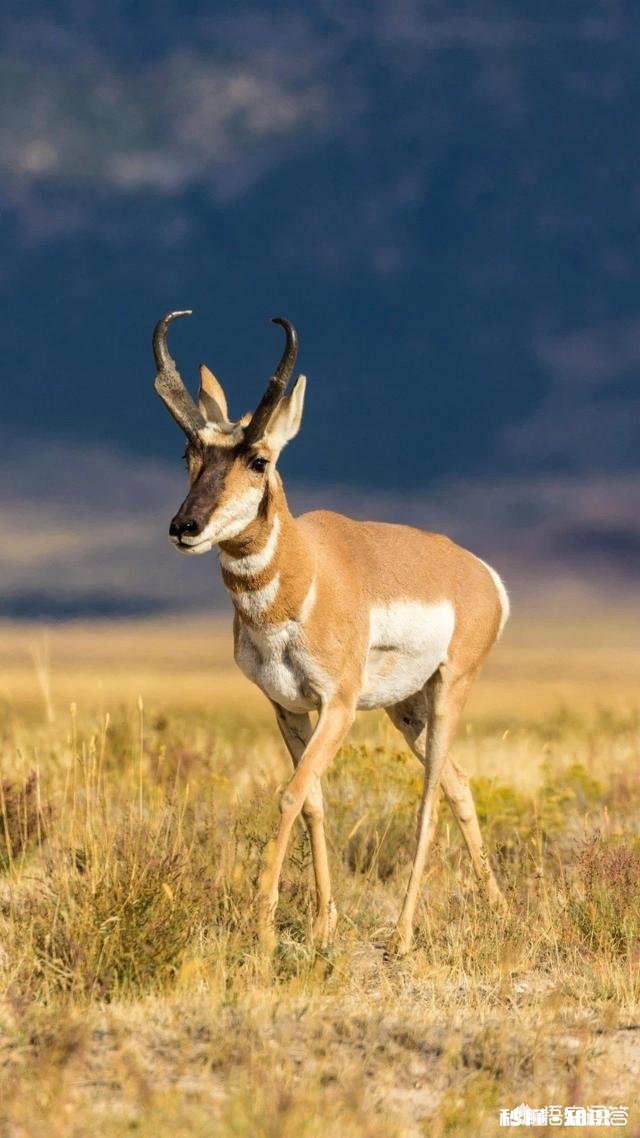如何能够快速有效走出情绪的低谷
