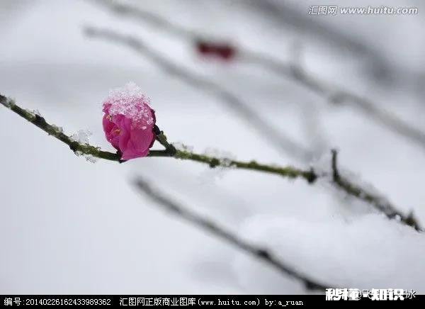 对联和古诗的关系是什么