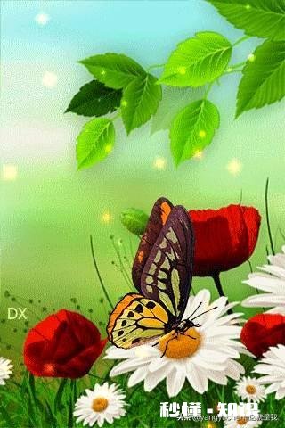 对联和古诗的关系是什么