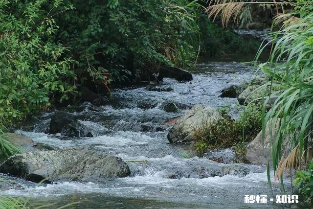 怎么样判断男生是不是喜欢我