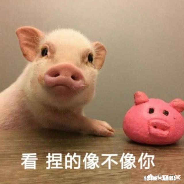 真正爱一个女孩是什么样子