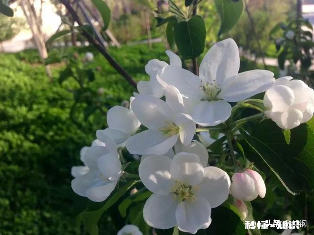 为什么有些东西非得时间教会我们