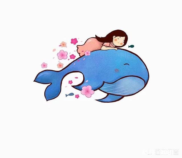 车位被电动车停了物业不处理怎么办