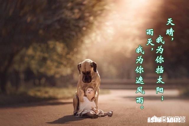 车位被电动车停了物业不处理怎么办