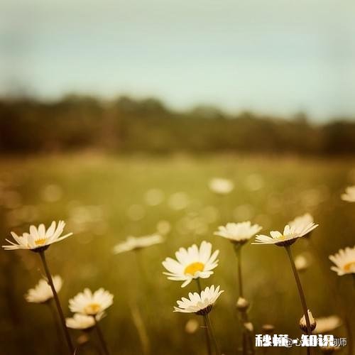 一直颓废，想要改变自己却发现心有余而力不足，有什么好的方法能让人振作起来