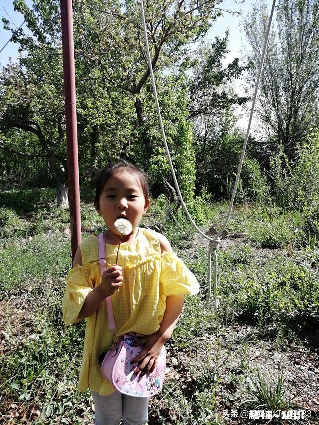 怎么跟一个三岁半的孩子解释，要勇于做自己