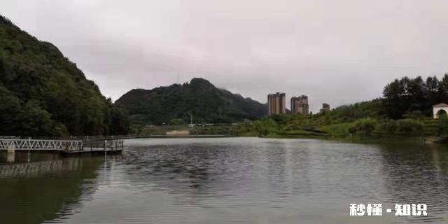 望夫成龙的最后都怎么样了