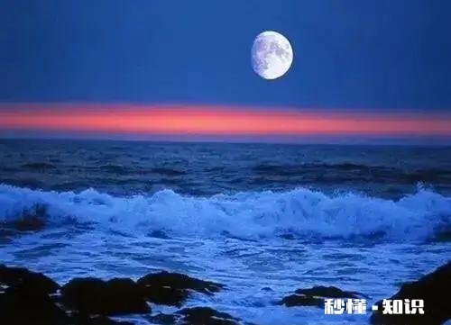 望夫成龙的最后都怎么样了