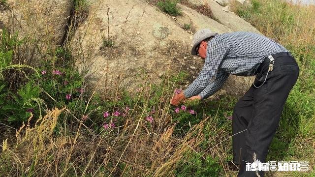 你有哪些值得分享的“如果当初...”的故事