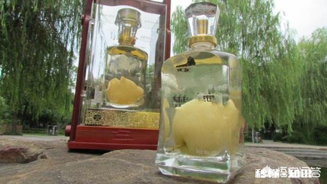 这些梨是怎么放进瓶子里的呢