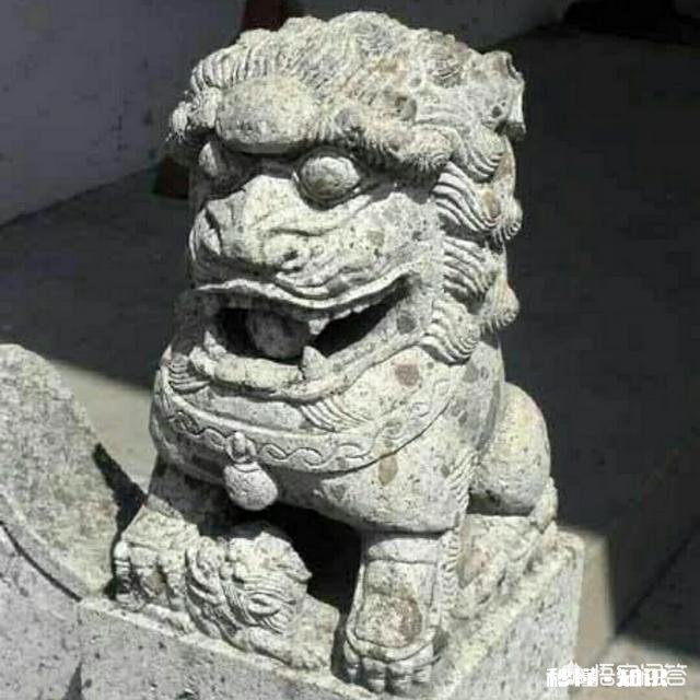 这些梨是怎么放进瓶子里的呢